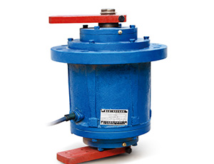 YZSL立式振動(dòng)電機(jī)